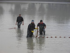 63863144008242015_abfischen_gweiher90c05.jpg